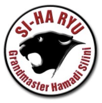 Logo - Hamadi Silini