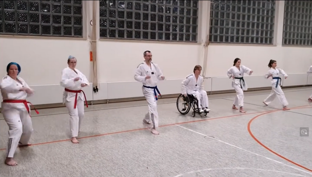 Vorwärtsstellung und Fauststoß im Taekwondo - Apkubi und Jireugi