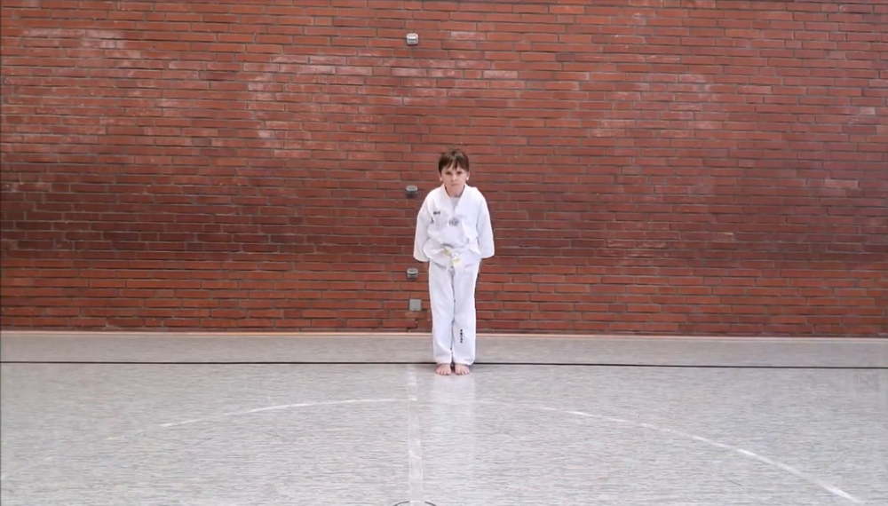 Ein Vorwärtstritt im Taekwondo - Ap Chagi